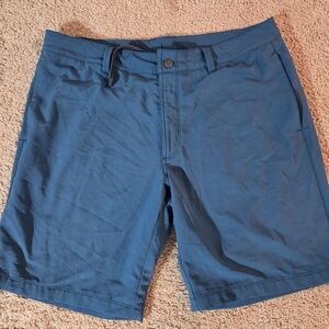 The North Face Men's Blue Flat Front Shorts